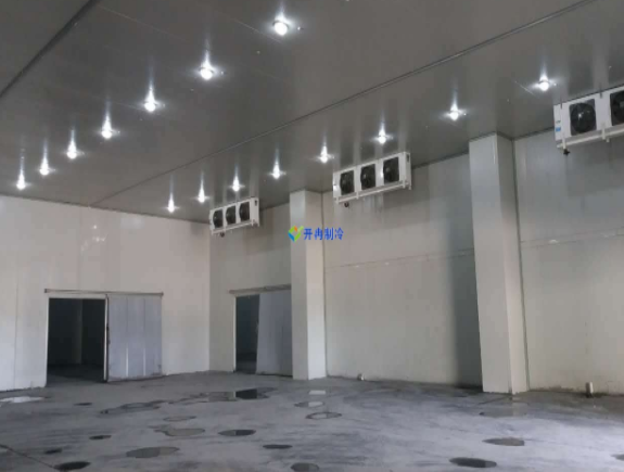 產(chǎn)業(yè)規(guī)劃園區(qū)內(nèi)建造16000平米的物流冷庫整體方案報價？