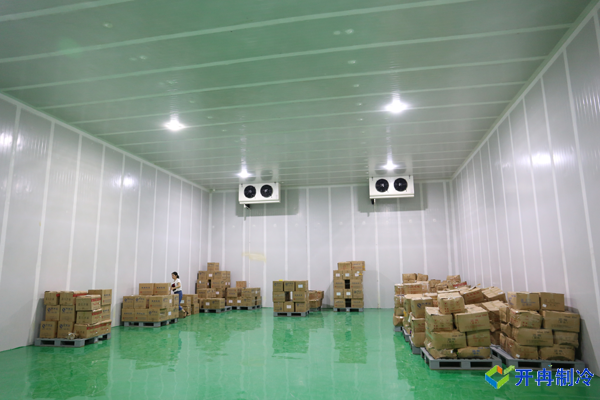 食品廠建造6000平米冷庫，冷庫造價有哪些費用