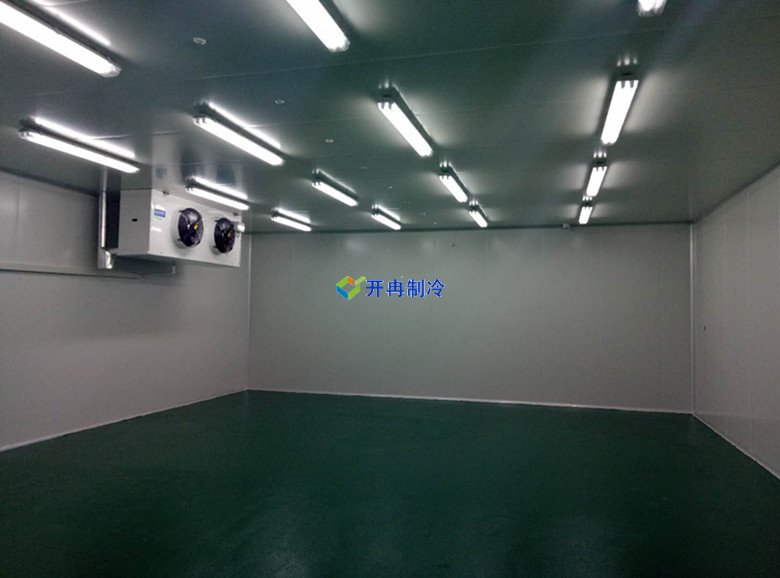 醫(yī)療冷庫的安裝標準，2-8℃生物制品冷庫安裝制冷設(shè)備造價 冷庫內(nèi)景圖片